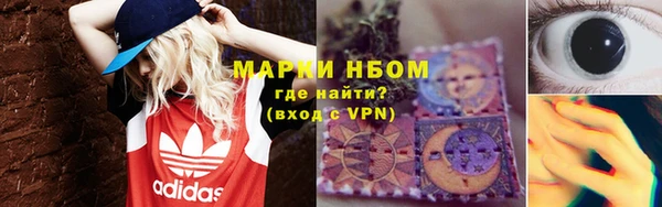 стаф Горняк