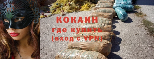 стаф Горняк