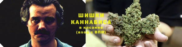 стаф Горняк