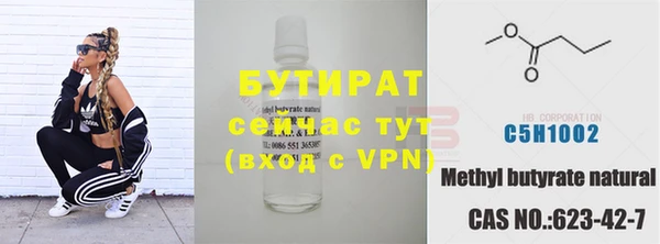 стаф Горняк