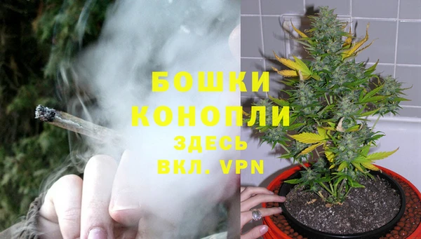 стаф Горняк
