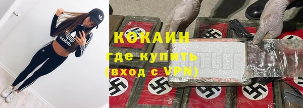 стаф Горняк