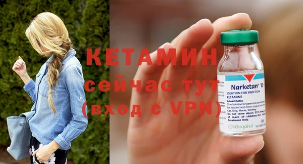 стаф Горняк