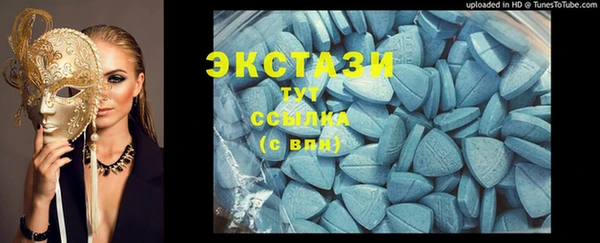стаф Горняк
