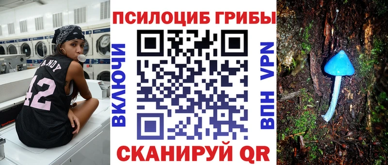 Галлюциногенные грибы Psilocybine cubensis Курган