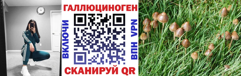 Галлюциногенные грибы GOLDEN TEACHER  ОМГ ОМГ рабочий сайт  Курган  продажа наркотиков 